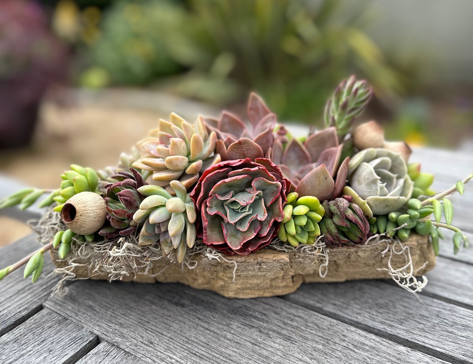 Succulent Driftwood Centerpieces Workshop